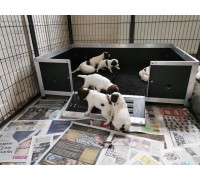 Whelping Box Bespoke Size