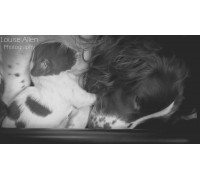 Whelping Box Bespoke Size